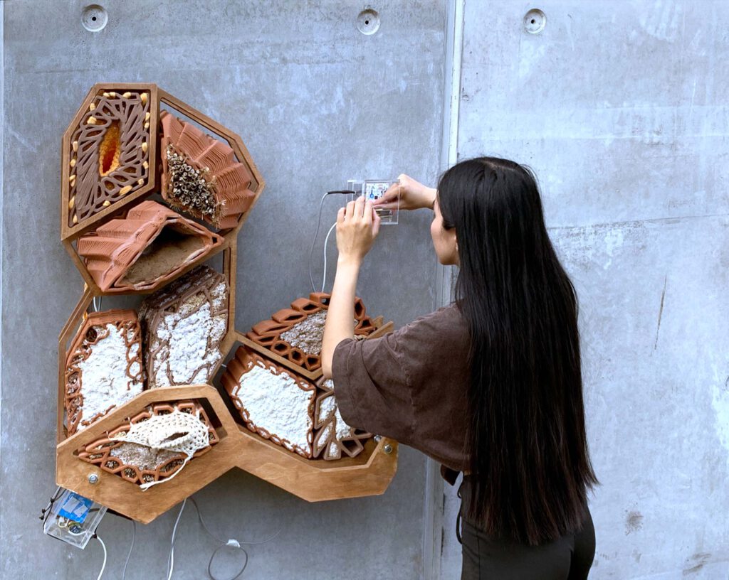 installation of the wall piece of the summerschool insect 2022